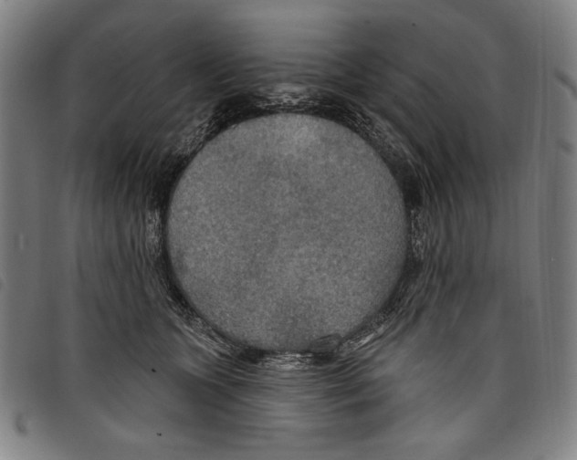 X0000097750563200804041105