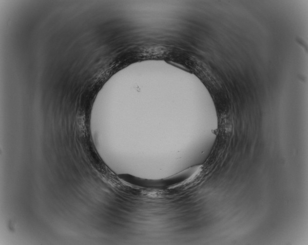 X0000097750564200804041105