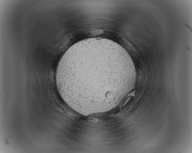 X0000097750565200804041105