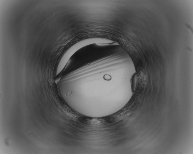 X0000097750566200804041105