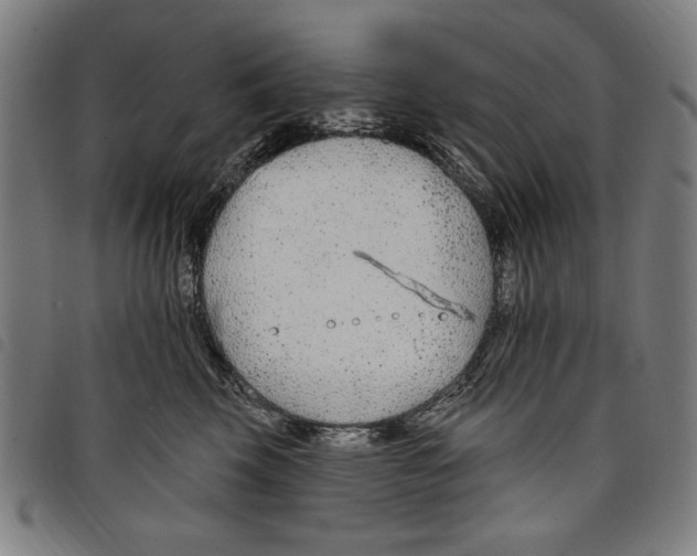 X0000097750569200804041105