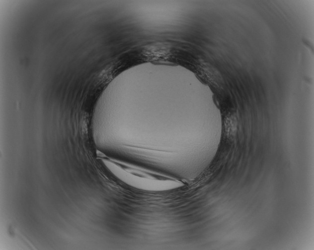 X0000097750570200804041105