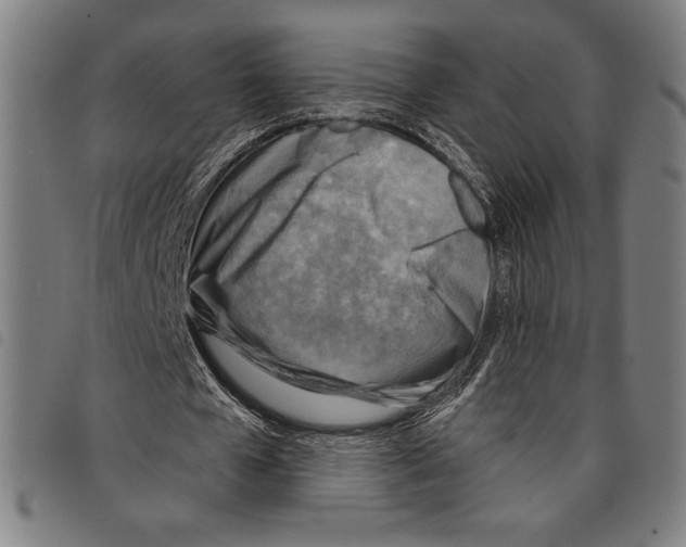 X0000097750577200804041105