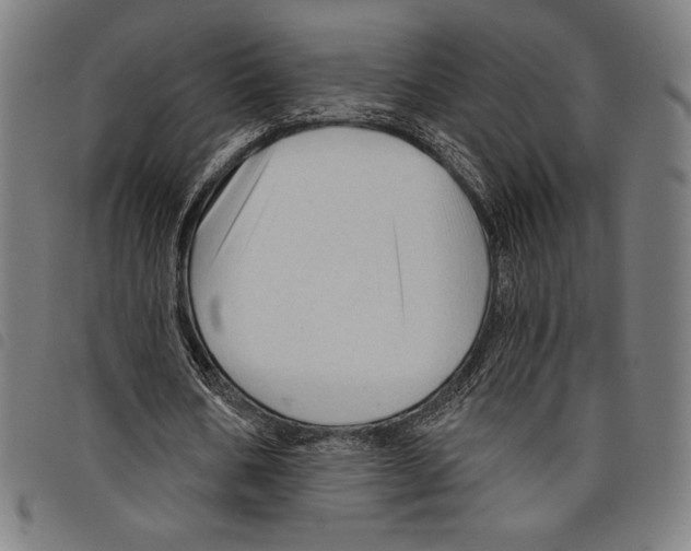 X0000097750578200804041105