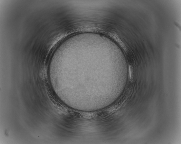 X0000097750579200804041105