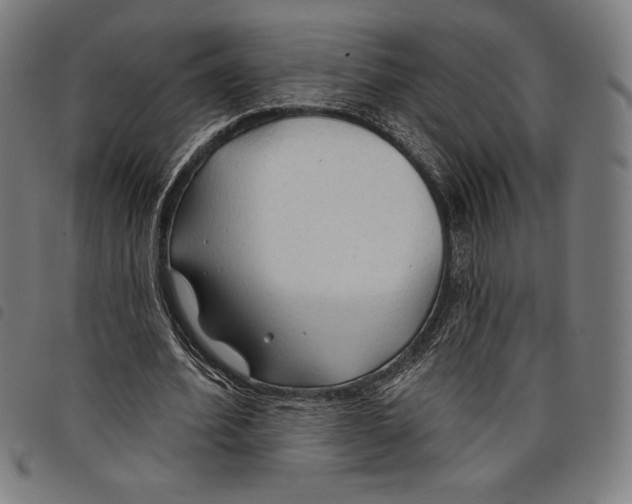 X0000097750580200804041105