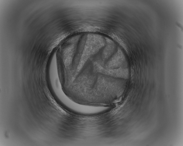 X0000097750581200804041105