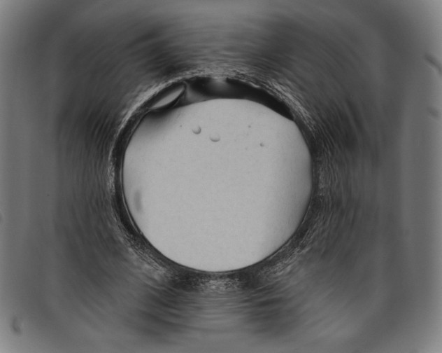 X0000097750584200804041105