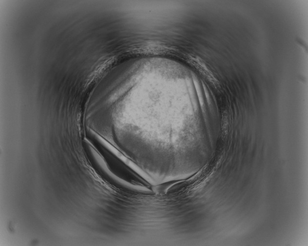 X0000097750585200804041105