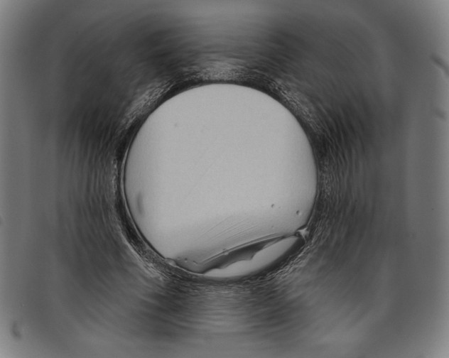 X0000097750586200804041105