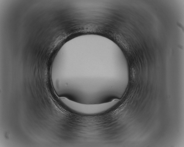 X0000097750588200804041105