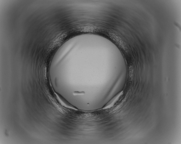 X0000097750589200804041104