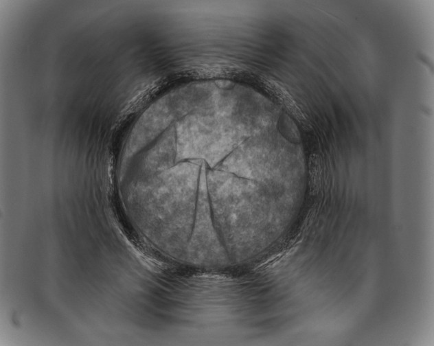 X0000097750590200804041104