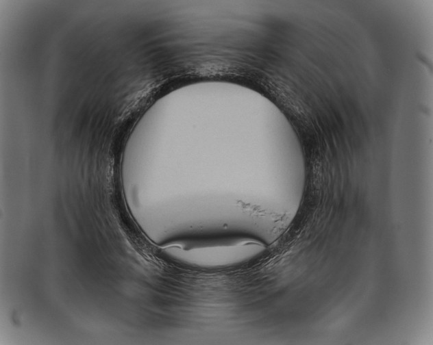 X0000097750592200804041104