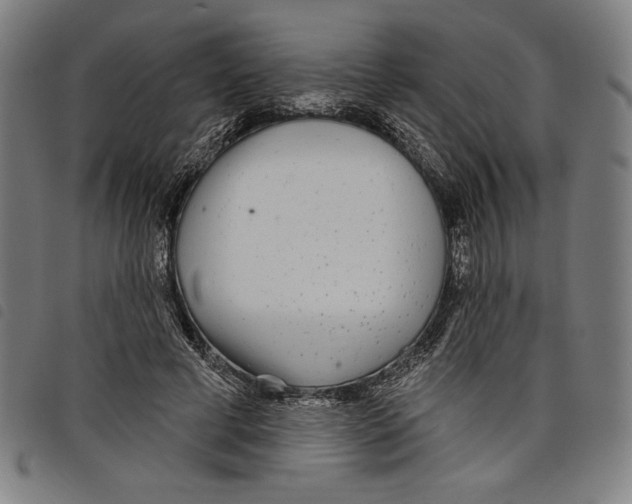 X0000097750593200804041104