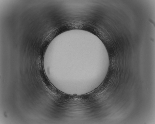 X0000097750594200804041104