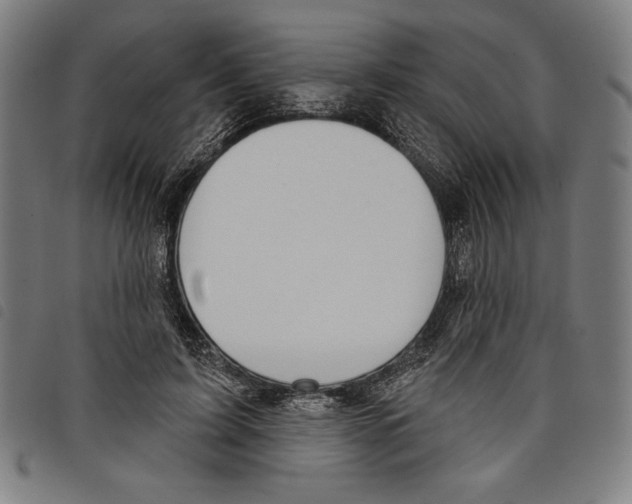 X0000097750595200804041104