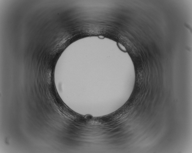 X0000097750596200804041104