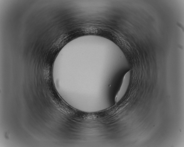 X0000097750600200804041104