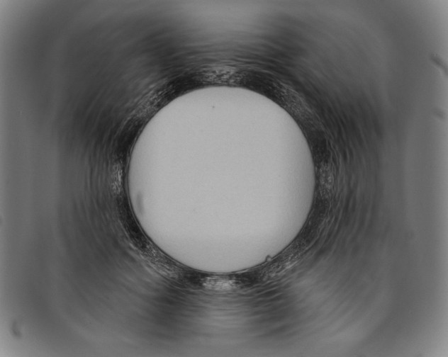 X0000097750602200804041104