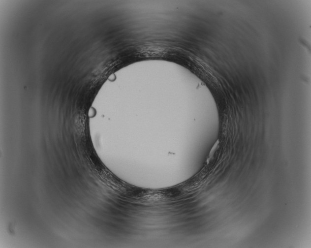 X0000097750604200804041104