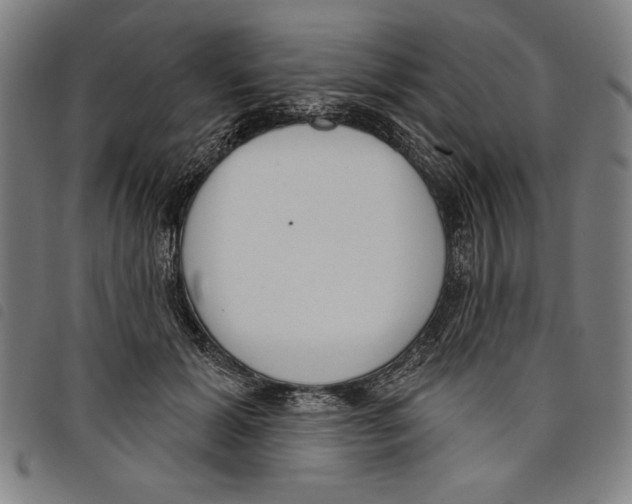 X0000097750605200804041104