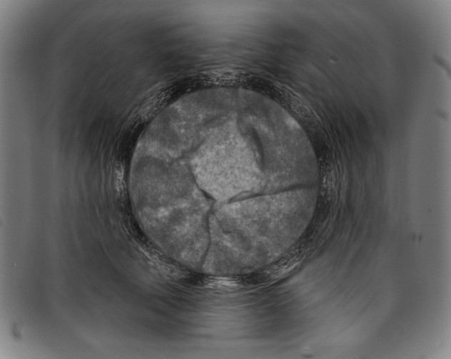 X0000097750610200804041104