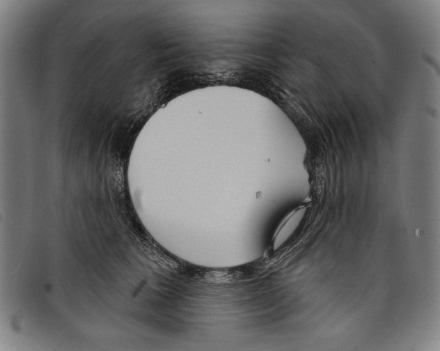 X0000097750613200804041104