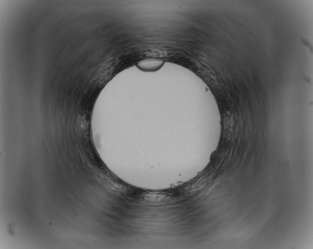 X0000097750614200804041104