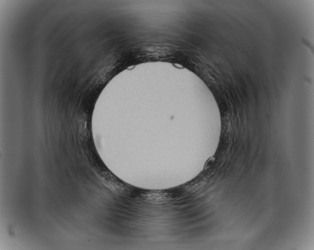 X0000097750615200804041104