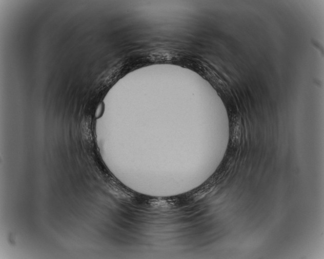 X0000097750616200804041104