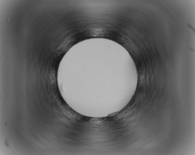 X0000097750620200804041104