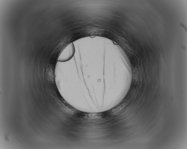 X0000097750622200804041104