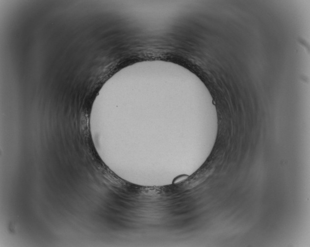 X0000097750624200804041104