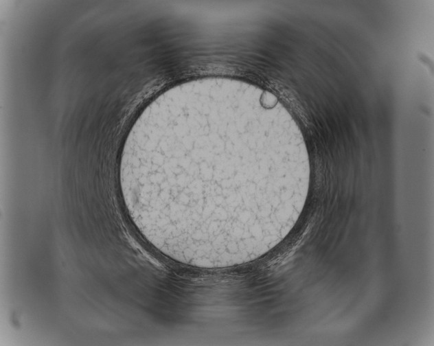 X0000097750625200804041103