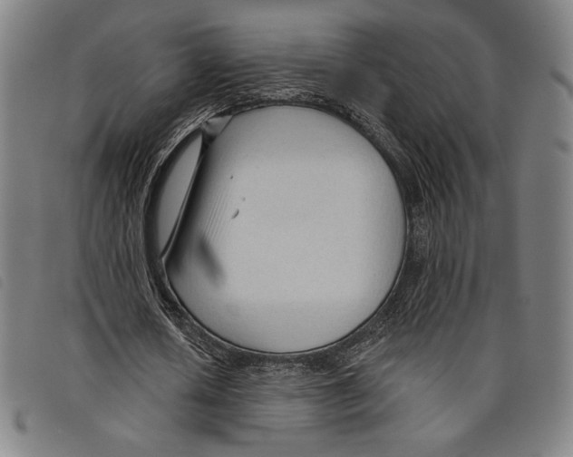 X0000097750626200804041103