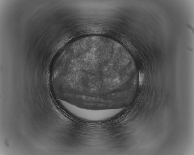 X0000097750627200804041103