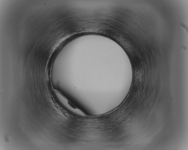 X0000097750628200804041103