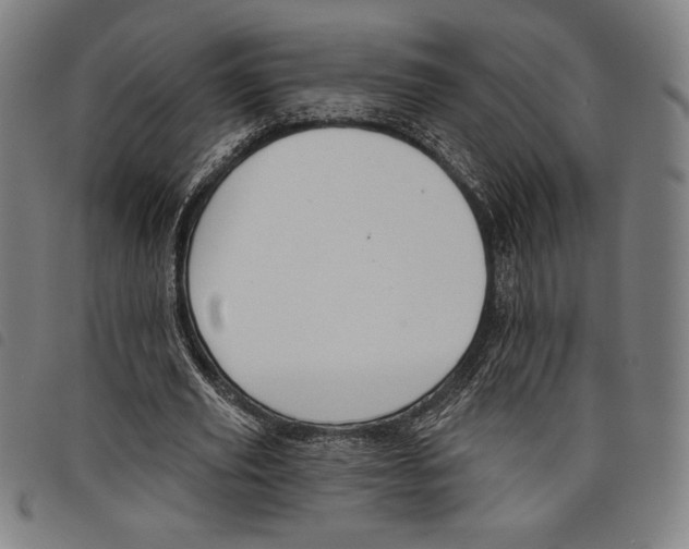 X0000097750629200804041103