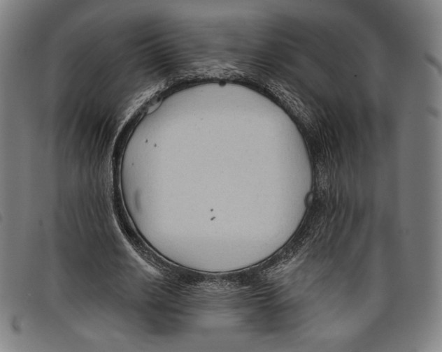 X0000097750630200804041103