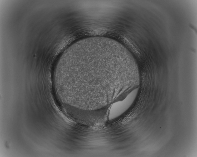 X0000097750634200804041103