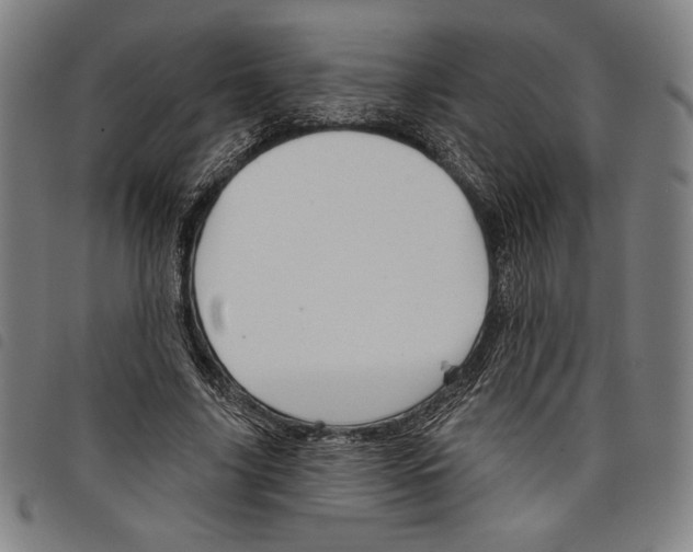 X0000097750635200804041103