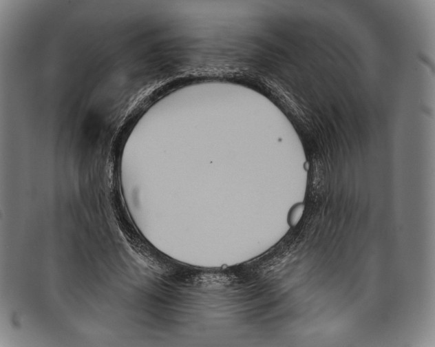 X0000097750636200804041103