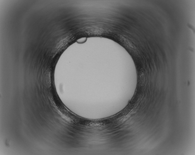 X0000097750638200804041104