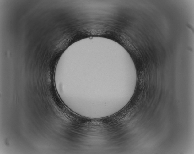 X0000097750639200804041104