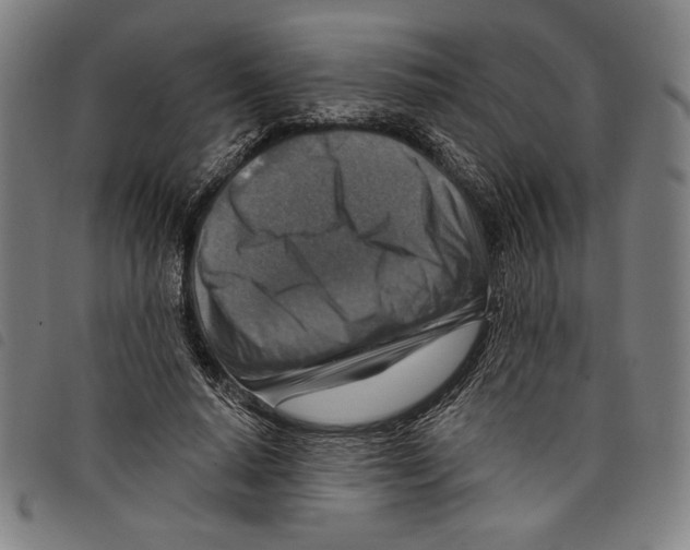 X0000097750640200804041104