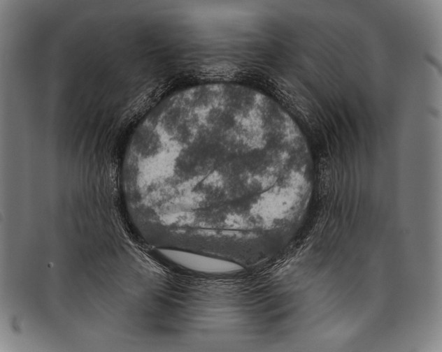 X0000097750641200804041104