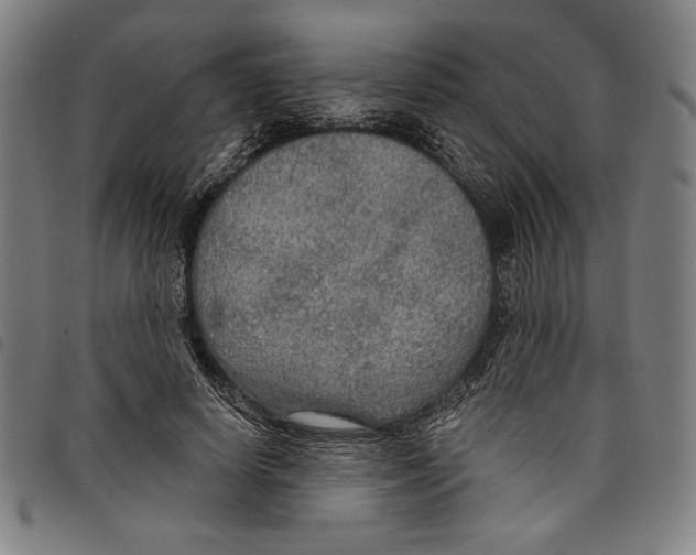 X0000097750642200804041104