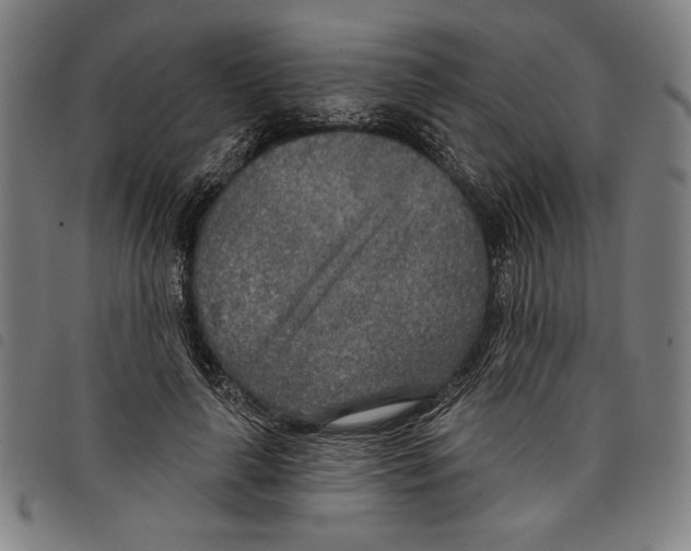 X0000097750643200804041104