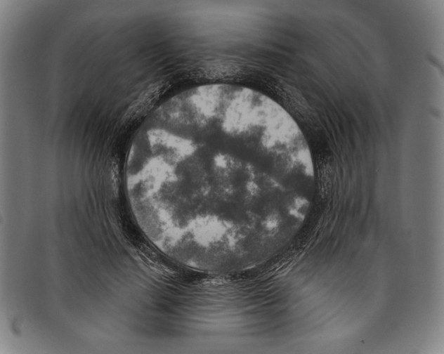 X0000097750644200804041104